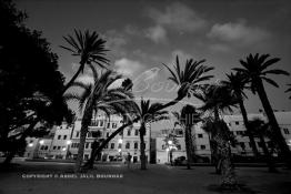 Image du Maroc Professionnelle de  Les palmiers du Jardin Arste Zerktouni, un des premier espace vert située à l'intérieur de la médina de Casablanca, Jeudi 22 Septembre 2016. (photo Abdeljalil Bounhar) 